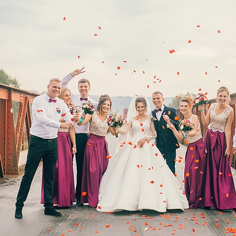 Verstelbare vlinderdas voor he - Men'S Formal Wear Bow Ties recensie en prijs